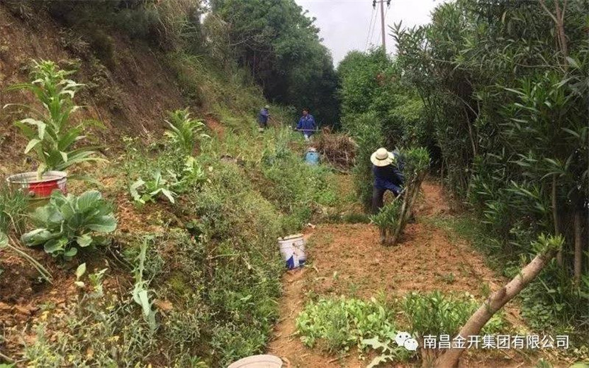 整治违规菜地，还居民一个良好生活环境