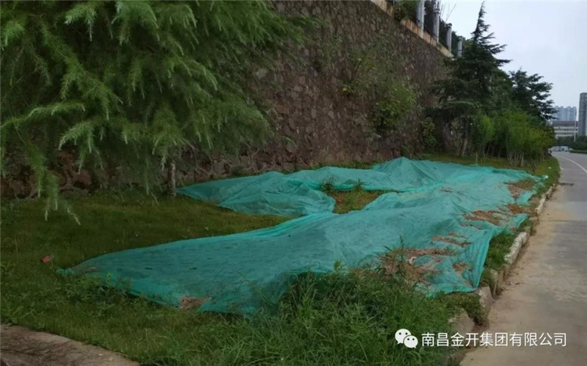龙潭路污水管网铺设及道路恢复工作顺利完工