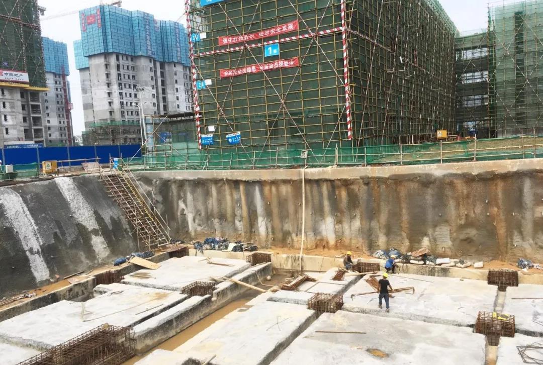 金开星空体育在线官网首页_星空体育（中国）持续开展“三比一看”活动