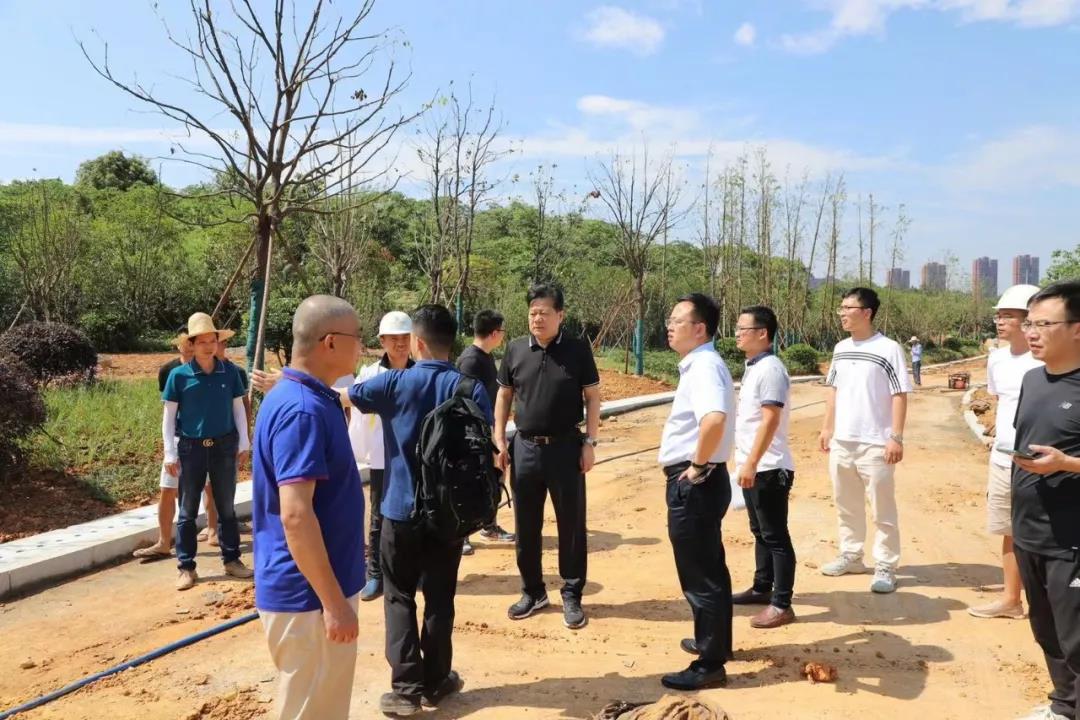 董事长谢荣华调研星空体育在线官网首页_星空体育（中国）建设项目安全生产和项目推进工作
