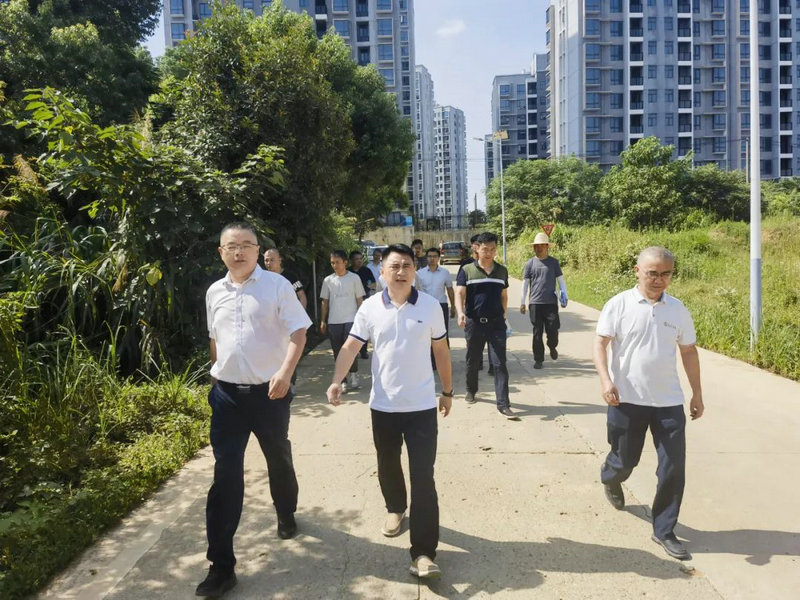 李茶根调研星空体育在线官网首页_星空体育（中国）民生工程建设情况
